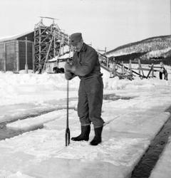 Isskjæring på Møkkelandsvannet, 1954. Johnny Jensen, Møkkela