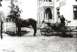 hest, vogn, gruppe3, reisende, familie, våningshus, legekont