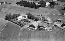 Gården Vister i Eidsberg, flyfoto 4. august  1951. Hærland k