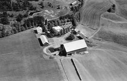 Gården Skollerud i Eidsberg, flyfoto 4. august  1951.
Mangl