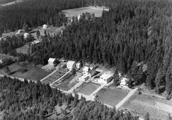 Boligområde på Mona i Eidsberg, flyfoto 20. august 1953.