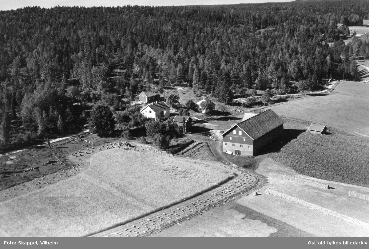 Karterud gård  i Skiptvet, flyfoto 9.sep. 1951.