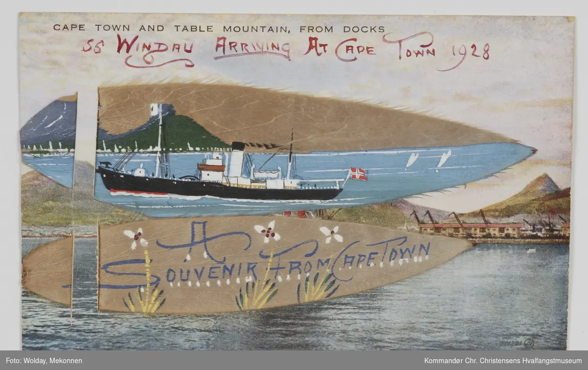 Hvalbåten Windau s/s, ankommer Cape Town i 1928.