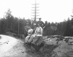 Tre menn og to kvinner i en veikant