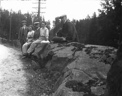 Tre menn og to kvinner i en veikant