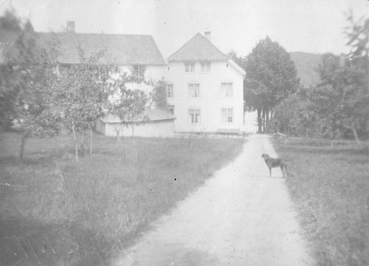 Frøvik gård. 10.07.1897