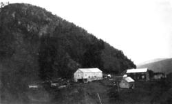 "Nergården", Vennevika i Nærøy