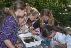 Skoleelever gjør bunndyrundersøkelser i forbindelse med arra