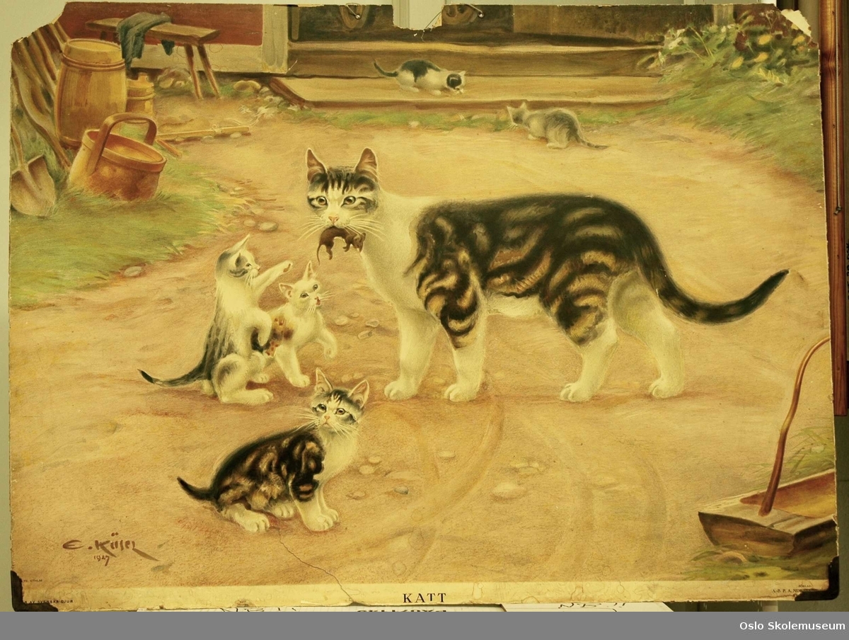 En katt med fem kattunger på en gårdsplass. Katten har en mus i munnen.