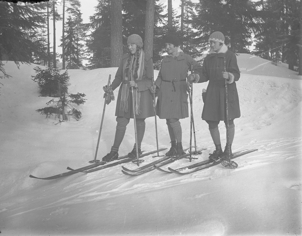 Tre jenter på ski, skogen. Kanskje Kragerø