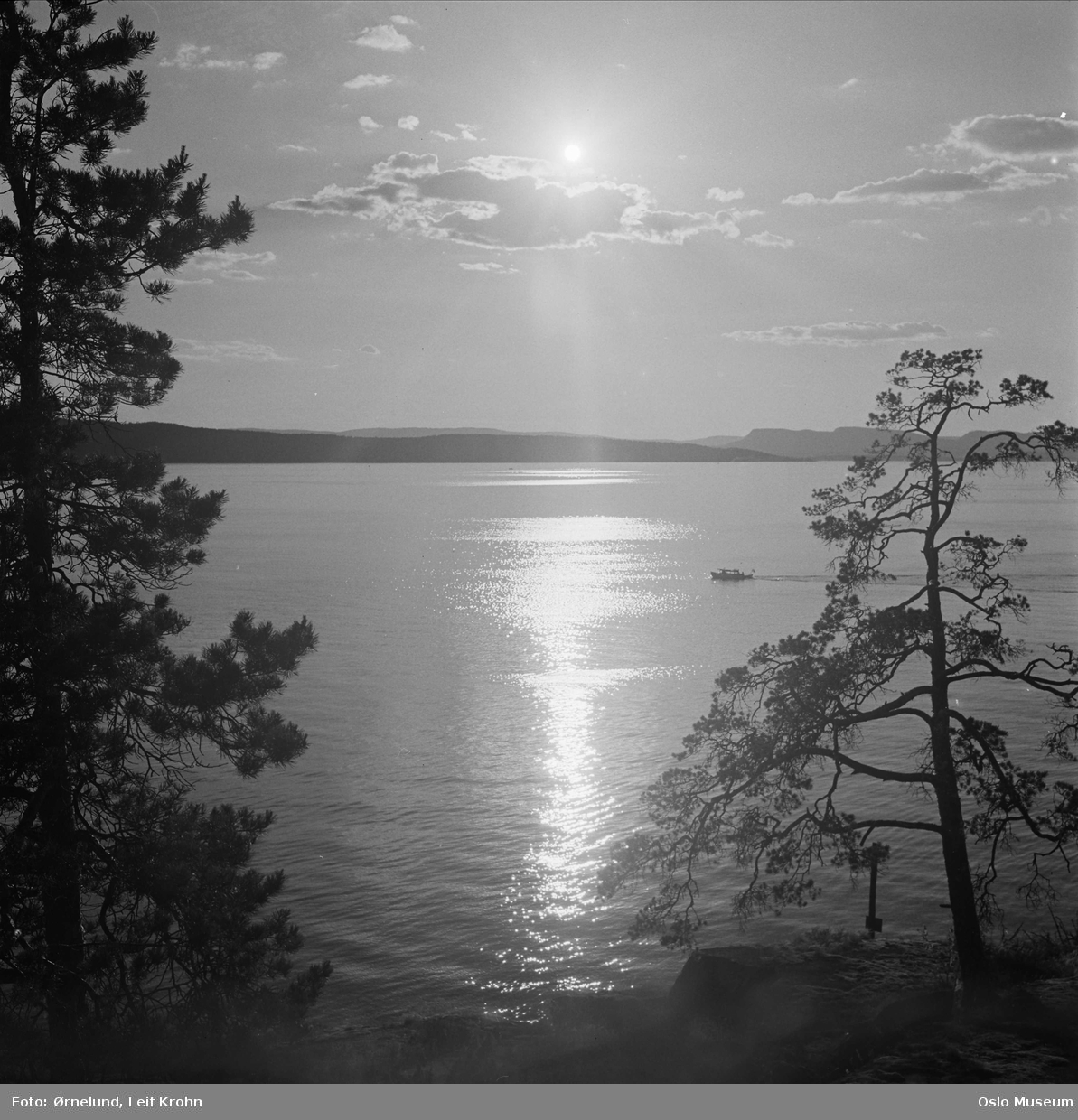 utsikt, fjord, solnedgang, furutrær, motorbåt