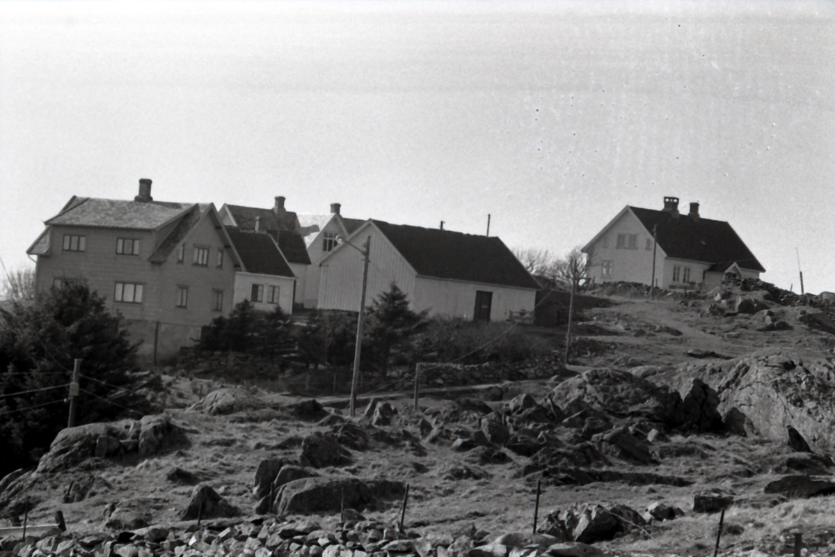 Feøy i Karmøy kommune - landskap - hav - skole - bebyggelse.