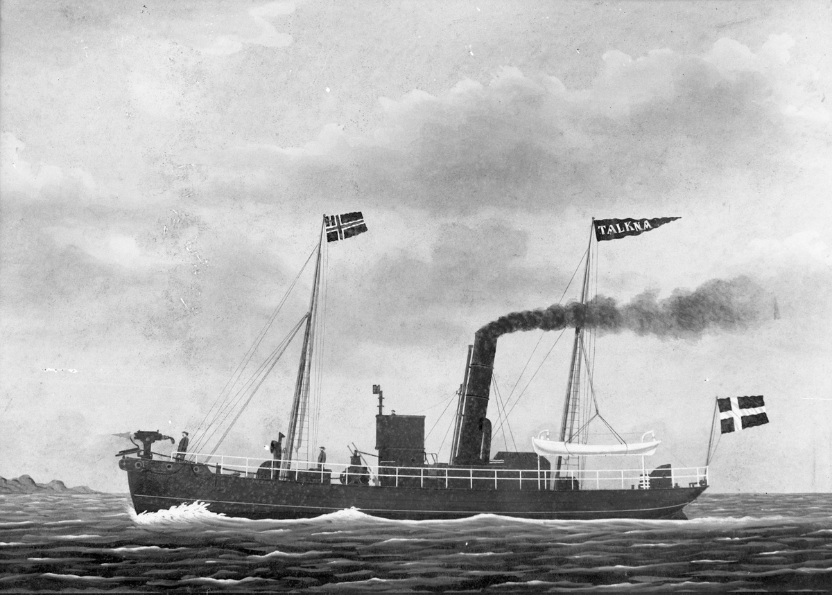 Avfotografert maleri av dampskipet D/S "Talkna" ute på hvalfangst.