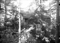 Bolighus ved skogen fotografert