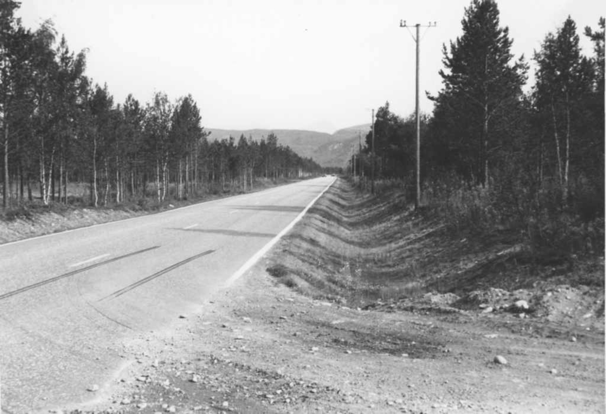 Nedover Forsettmoan i Salangsdalen går veien som en strek med Liakollen i bakgrunnen.