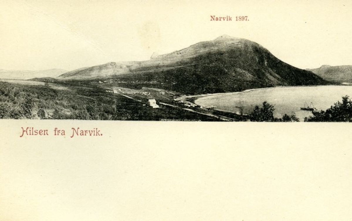 Narvikbukten med Steinhuset og Narvikgården.