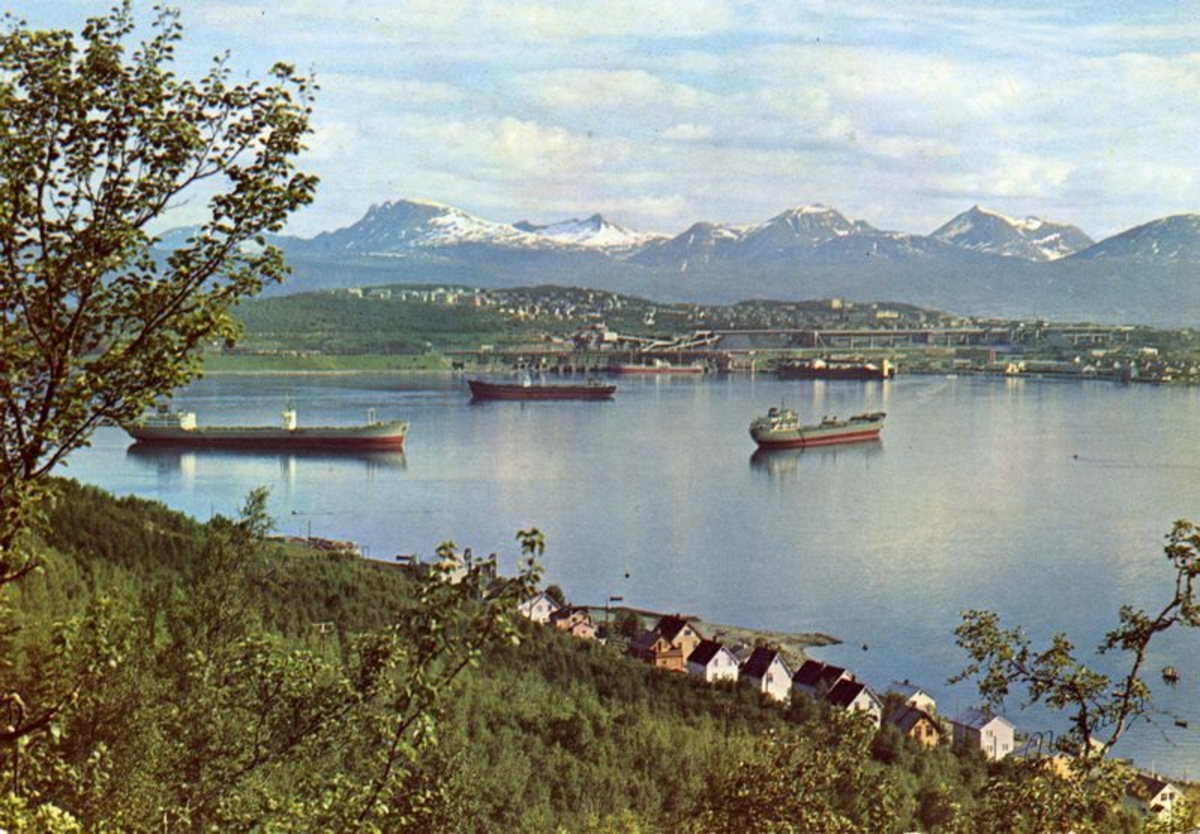 Narvik med Havna sett fra Ankenes. Malmbåter. Herjangsfjellene. Gråfjordfjellene.