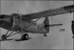 Ett fly på isen, Otter OAG.