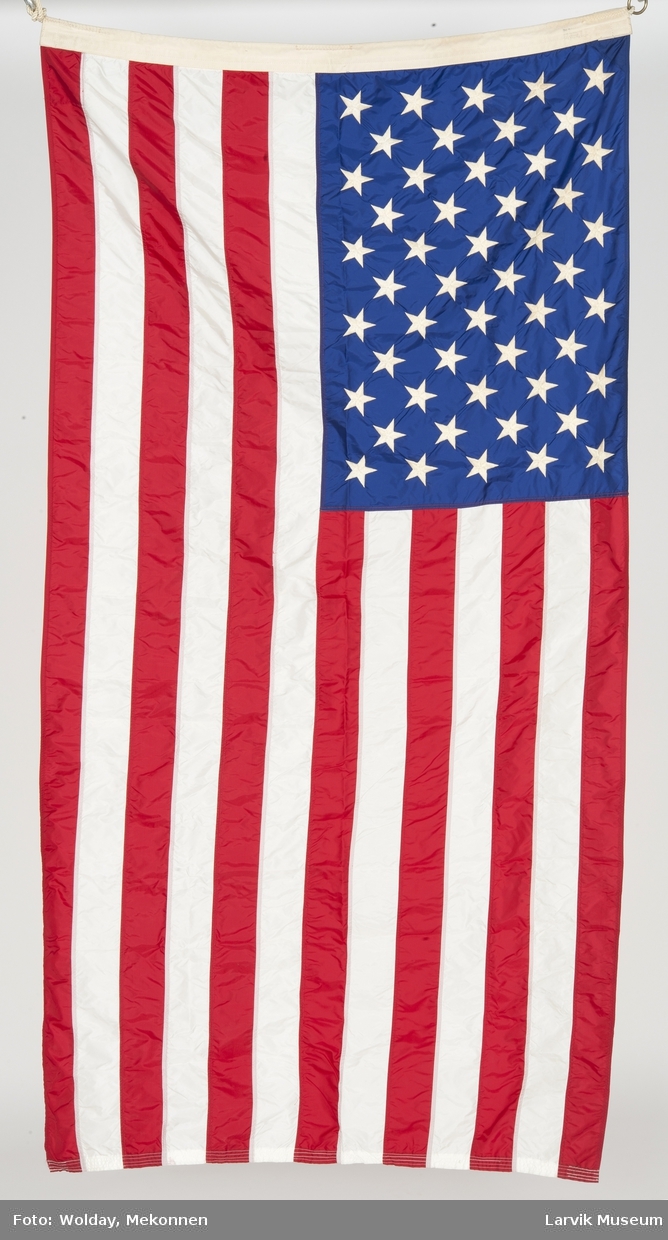 USA's nasjonalflagg m. line