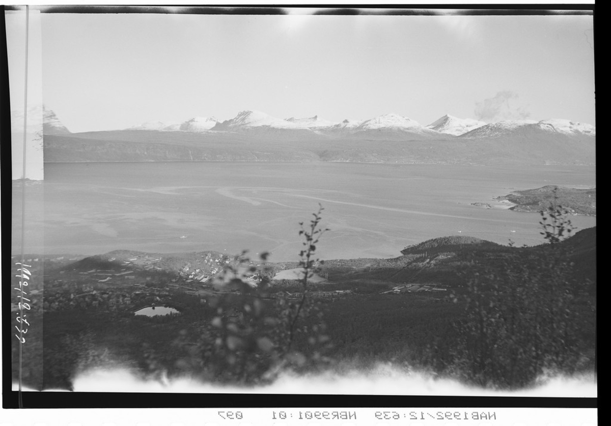 Narvik, oversiktsbilde (tatt fra ovenfor Skistua-feltet?) av Taraldsvik og Ornesvik. Ofotfjorden i bakgrunnen.