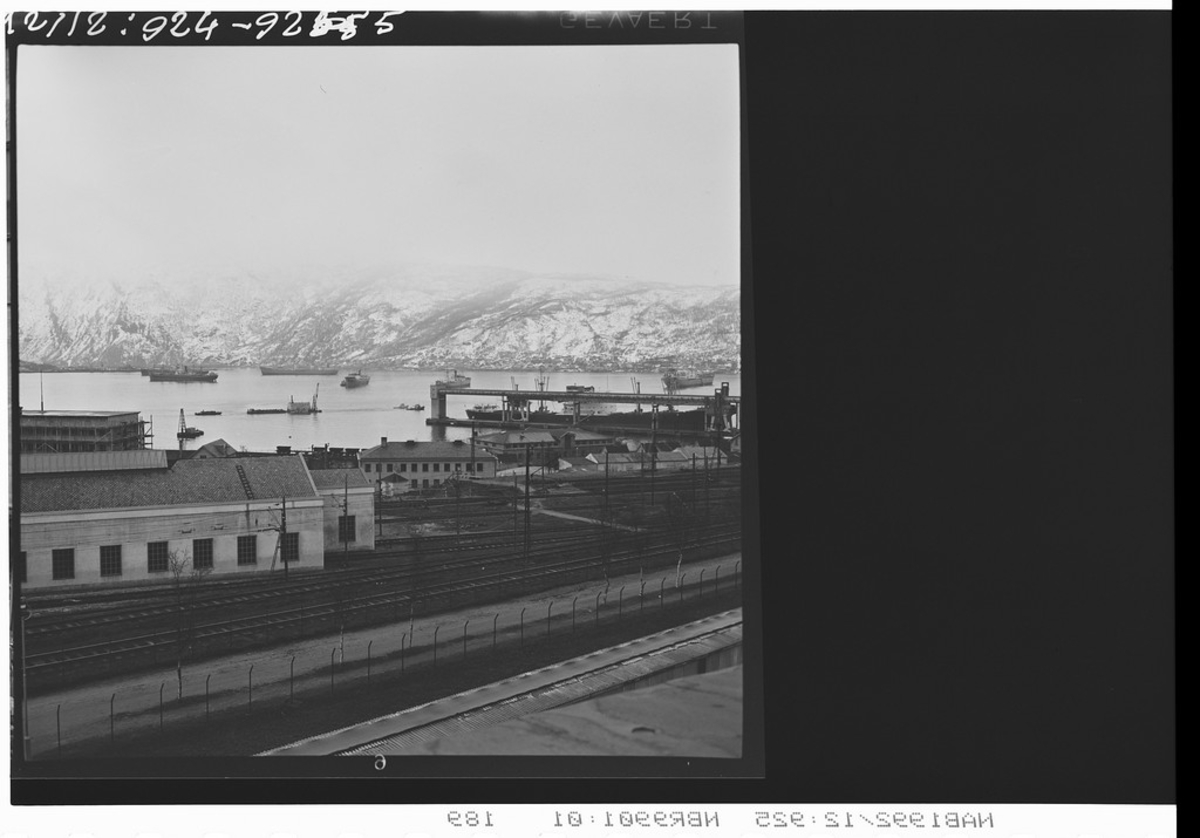 LKAB, Narvik. Utskipningsområde. Flere skip ligger på havna. Kai 3 & 4.