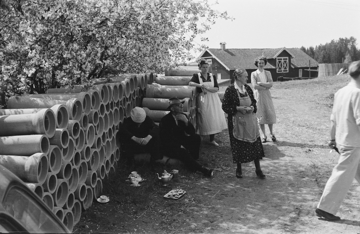 Fra billøp i Elverum. 1954. Publikum.