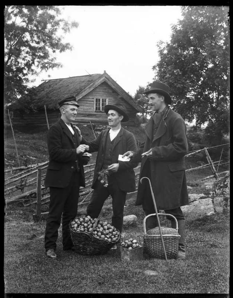 Karl Johansson, Hjärtum 1888-05-14, köper äpplen på Torpet (Arnstorp) av två okända män. I bakgrunden syns källarbyggnaden på Torpet (Arnstorp)