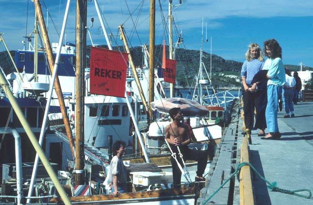 Landskap. Bodø havn. Rekefiskere tilbyr sin fangst til interesserte kjøpere.

























































































































































































