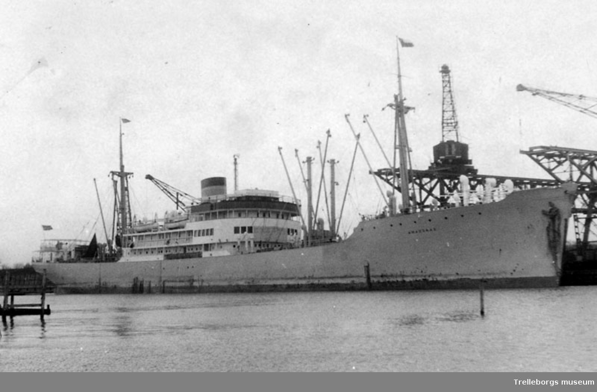 Motorfartyget Amazonas (Johnson Line) lossar i Trelleborgs hamn.