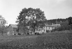 Torgerstu Berg på Byneset