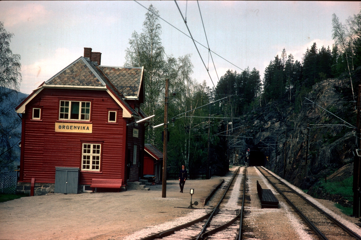 Tog 601 kjører inn på Ørgenvika stasjon.