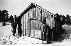 Uteløe på Brelandsheia sør (Myra).