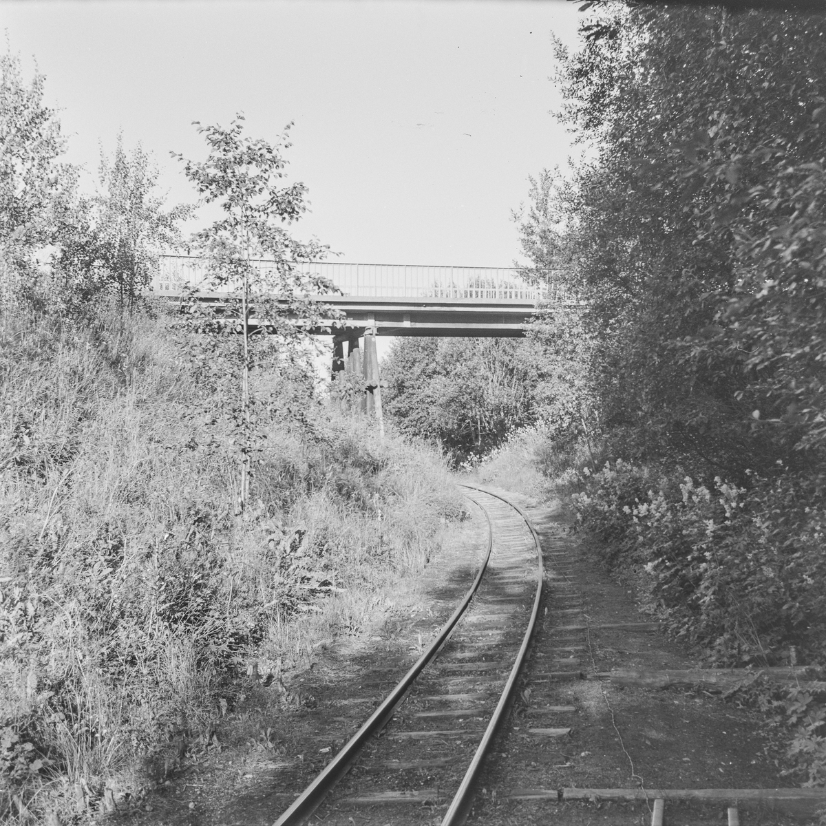 Tertittens spor og den gamle riksveibroen ved Fyen.