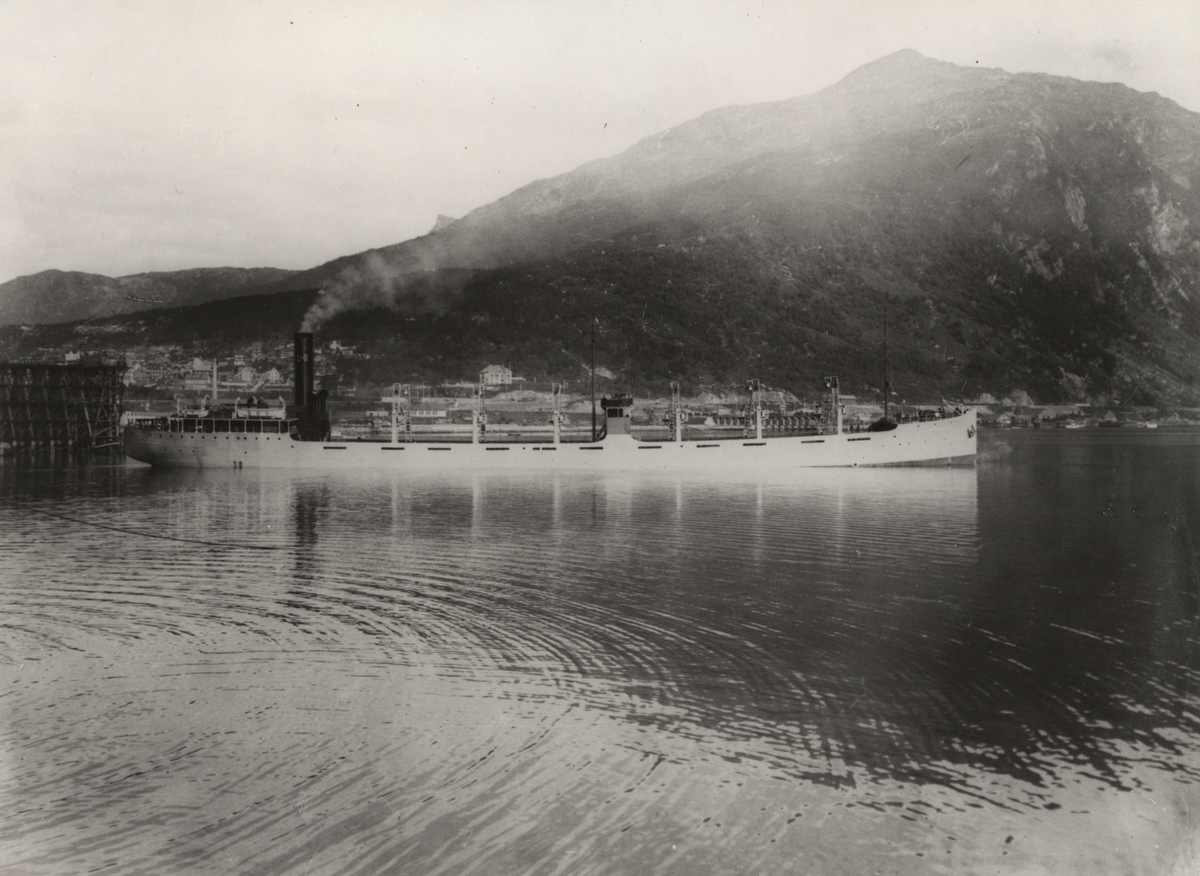 SIR ERNSET CASSEL vid malmlastningskajen i Narvik. Foto före år 1915.