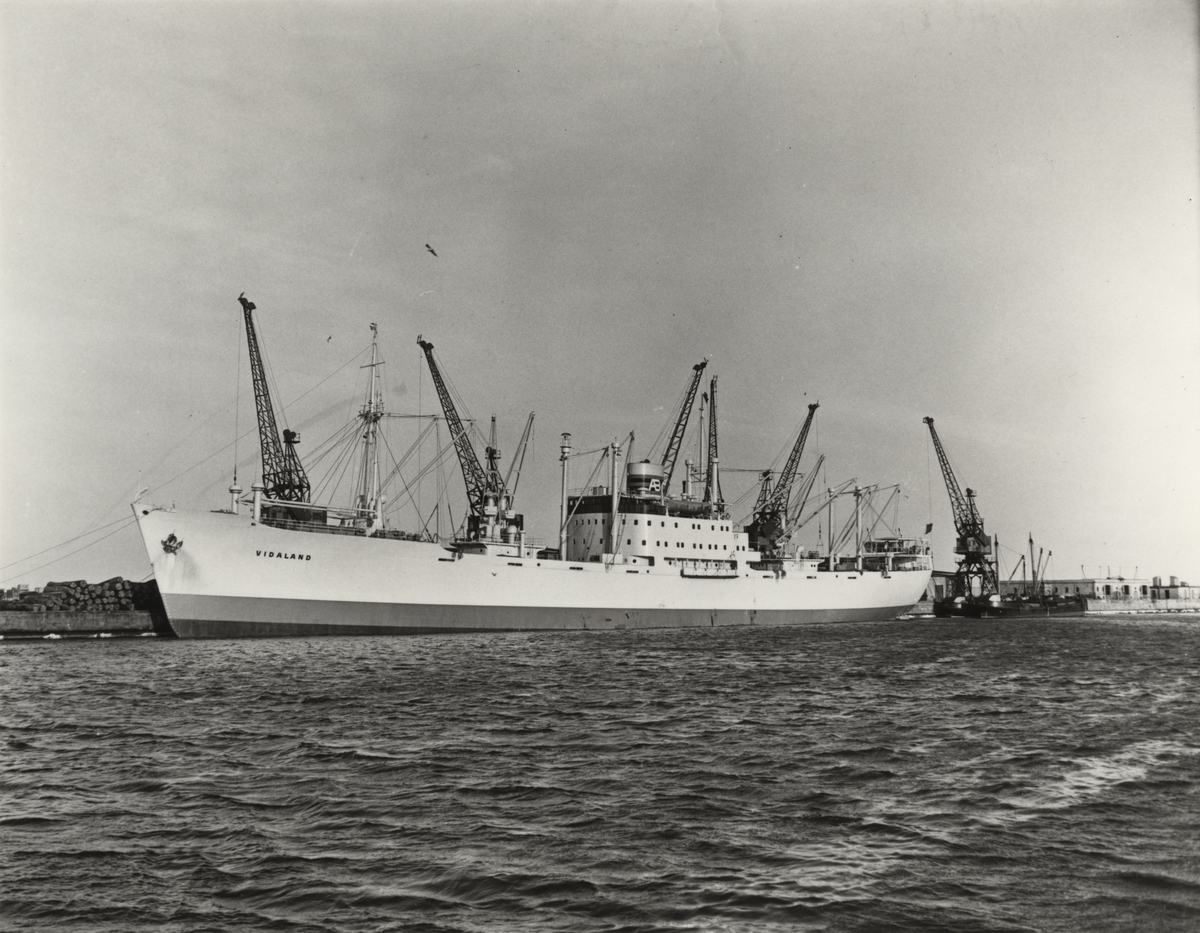 Foto i svartvitt visande lastmotorfartyget "VIDALAND" i Köpenhamn den 30.1.1954.