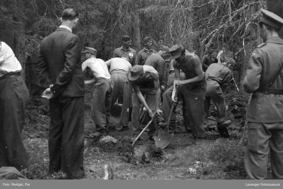 Åpning av graver i krigsfangeleiren på Falstad, Faldstadskogen.