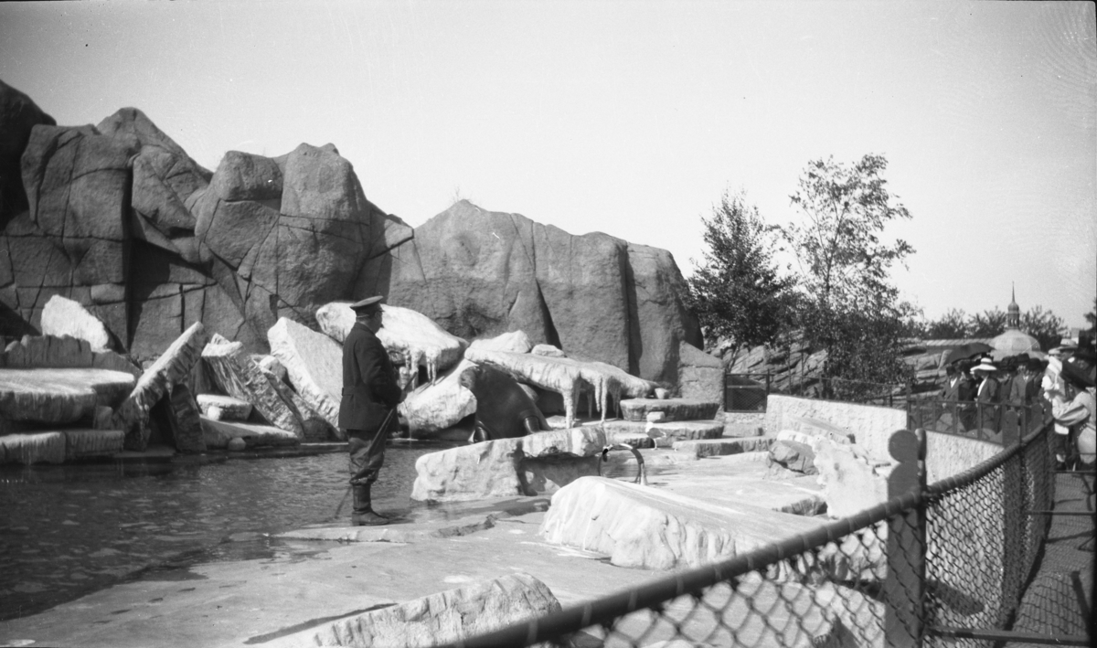 Feriebilde. På besøk i en dyrepark. En mann og en hvalross er her fotografert

Fotoarkivet etter Gunnar Knudsen.