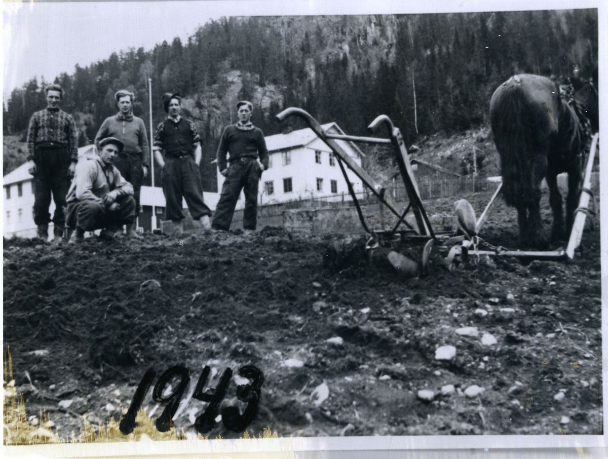 Setting av potet på Rustebakke i Begnadalen, Sør-Aurdal. 5 karer står  oppstilt i åkeren sammen med hest og plog. Gården Rusebakke i bakgrunnen. 1943