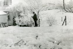 Bank-lokalet på Vik i Flatanger