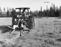 «Over myra lengst nordøst for Halfaråsen.  9.10.1973»