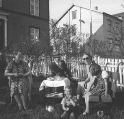 Fotografi fra Vadsø som viser hagen foran veivesenets kontor