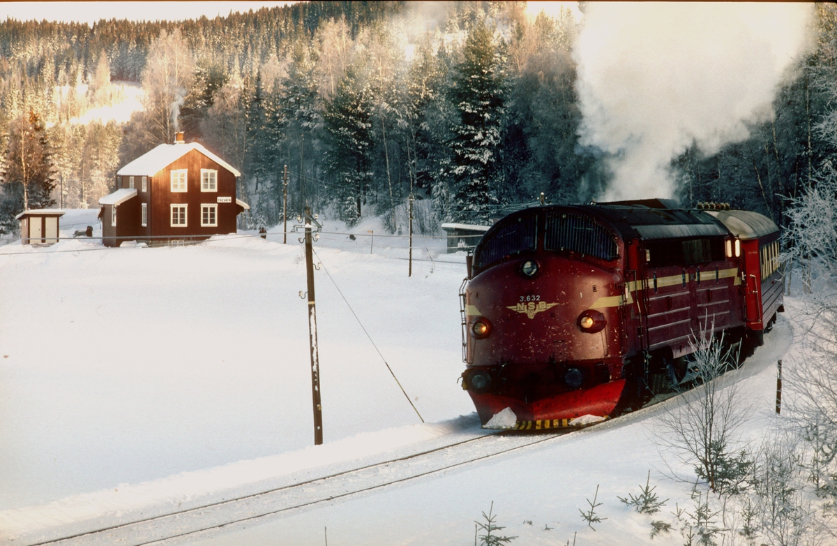 Persontog 281 Oslo - Fagernes kjører ut fra Trevatn stasjon en kald februardag med NSB dieselelektrisk lokomotiv Di 3 632.