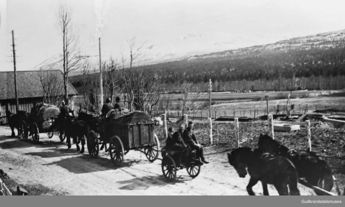Fanger ved Øygarden 1945, minimum seks personer, bruk av hest og kjerre, jorder og fjellandskap i bakgrunnen.