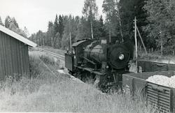 Skifting med damplokomotiv type 30b nr. 347 på Bøverbru kalk