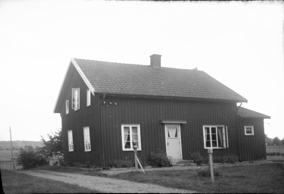 Bostadshuset   Stom  Bergstena