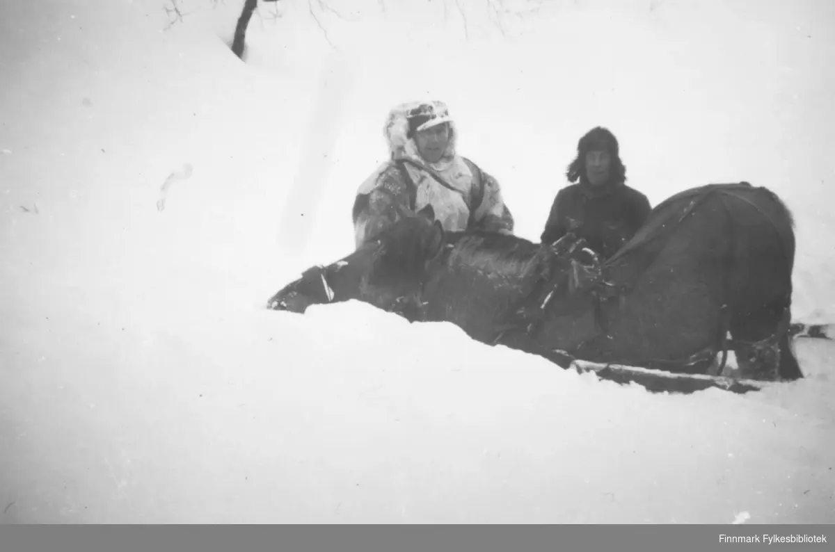 Varetransport med hester over vidda etter krigen. Vi ser hester med sleder og en stor gruppe menn som deltar i arbeidet enten til fots eller på ski. På ett av bildene ser vi en fjellstue, på et annet et telt. På noen av bildene ser vi at arbeidet er vanskelig for hestene på grunn av dyp snø. Serien inneholder bildene: 06002-064, 06002-065, 06002-066, 06002-067, 06002-068, 06002-069. Ca.1946-50.