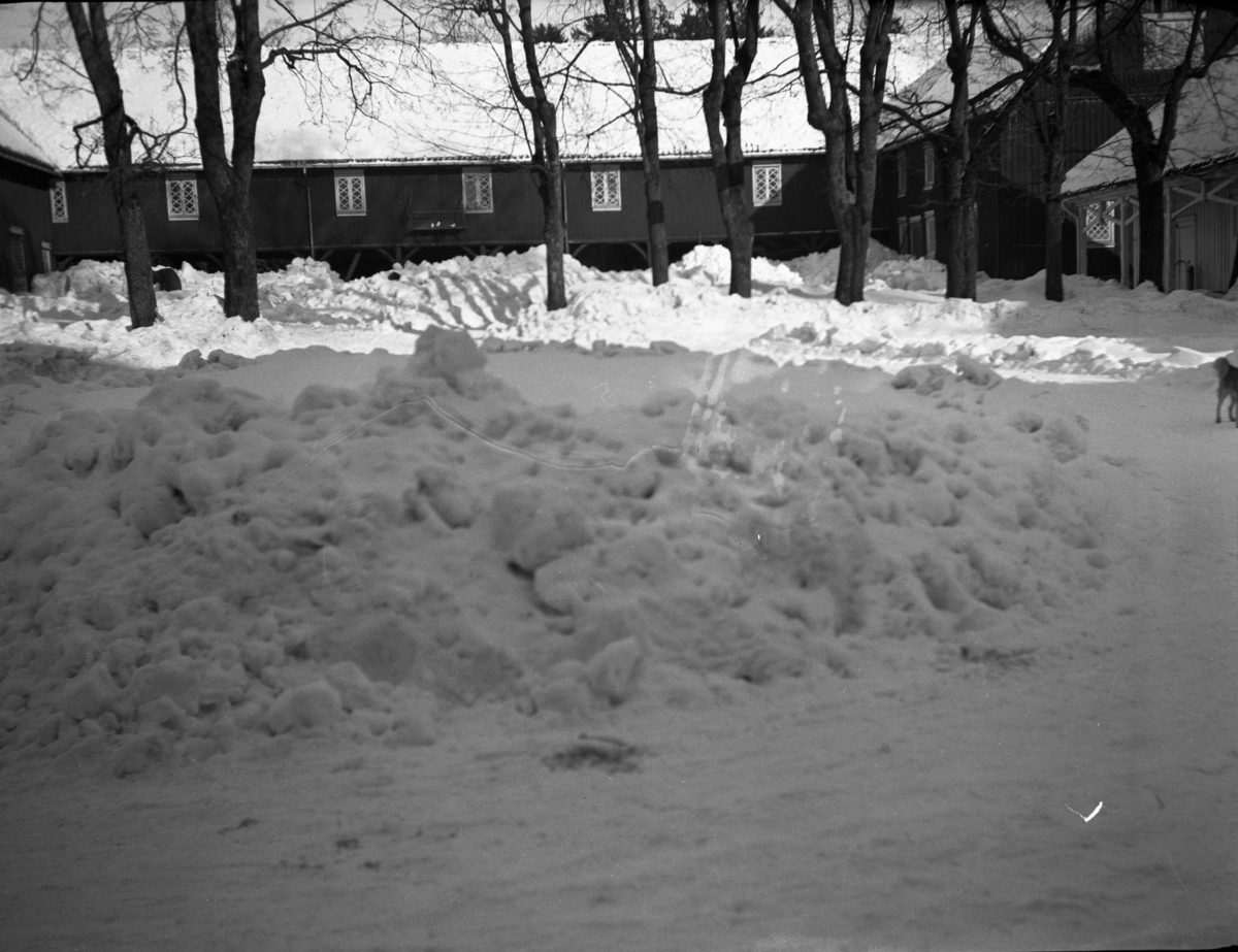 Fotoarkivet etter Gunnar Knudsen. Bygninger på Borgestad gård fotografert på vinteren.