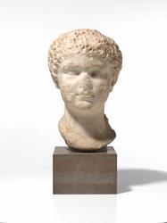 Portrett av en pike [Hode]