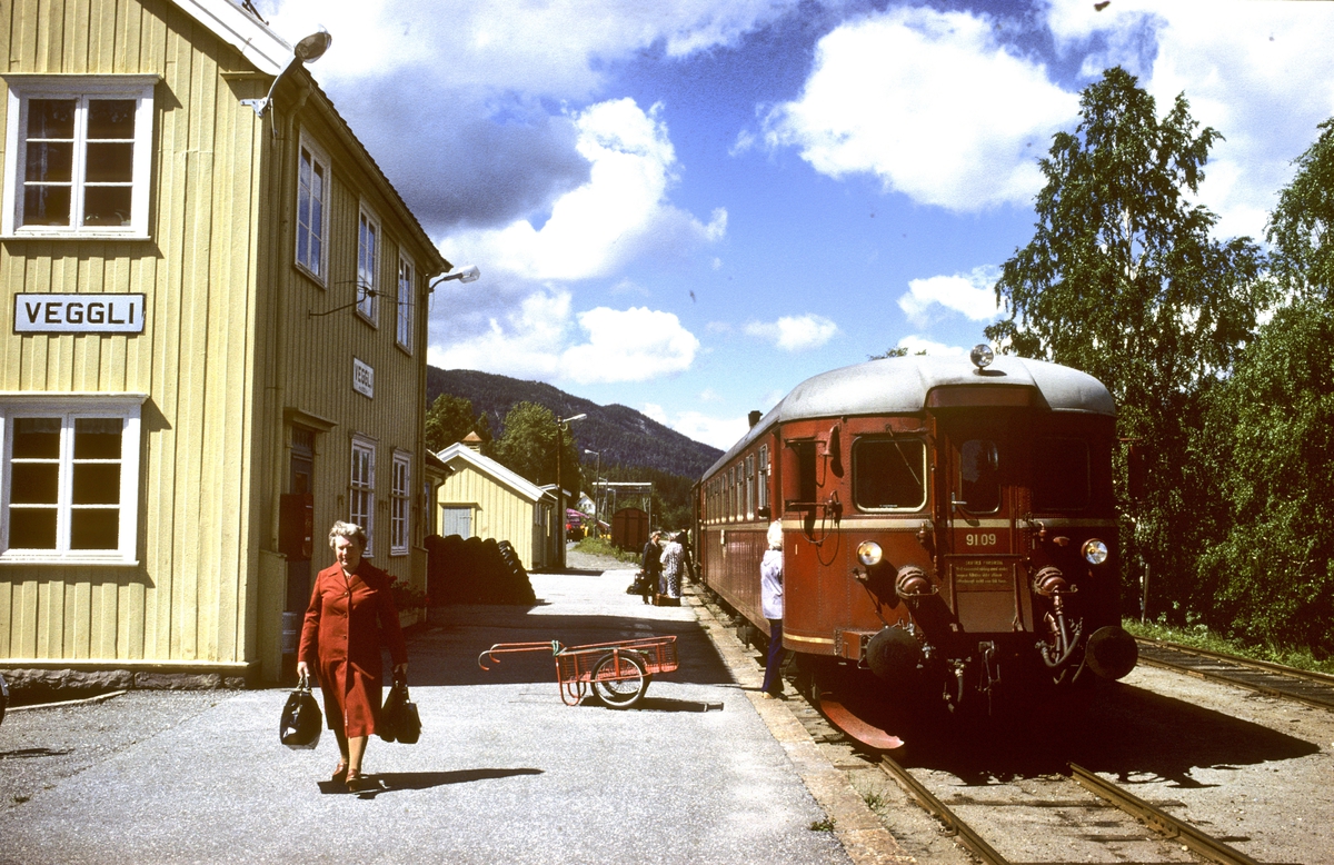 NSB persontog fra Rødberg til Kongsberg på Veggli stasjon.