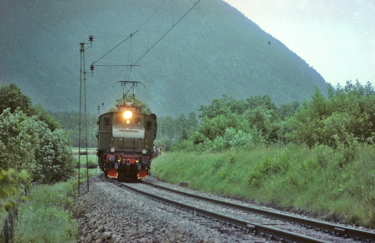 Rjukanbanen, Vestfjorddalen. Godstog til Mæl med elektrisk lokomotiv RjB 14 (NSB El 1 2001).